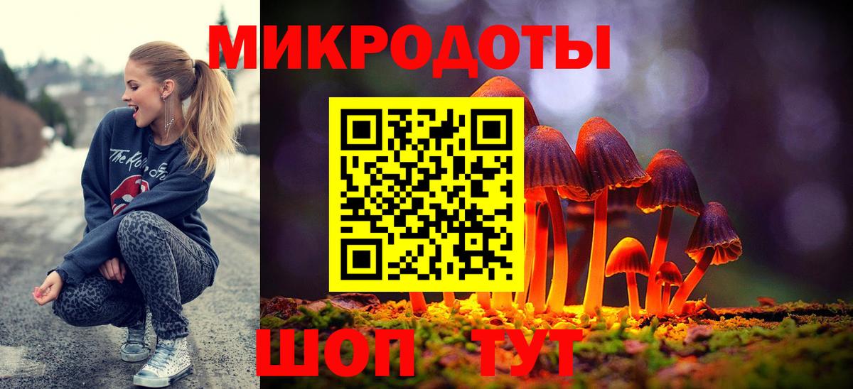 Галлюциногенные грибы Psilocybe Минусинск