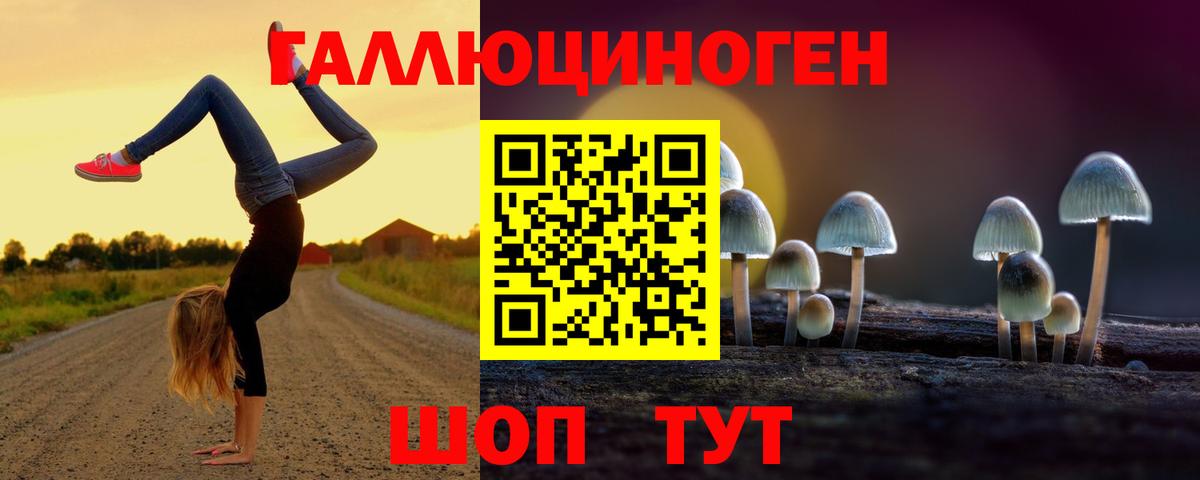 цена   Вход с VPN  Галлюциногенные грибы мухоморы  Минусинск  Галлюциногенные грибы GOLDEN TEACHER 